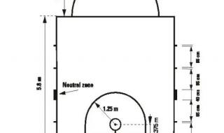 标准的篮筐离地多高,篮筐多大 标准篮球框高度